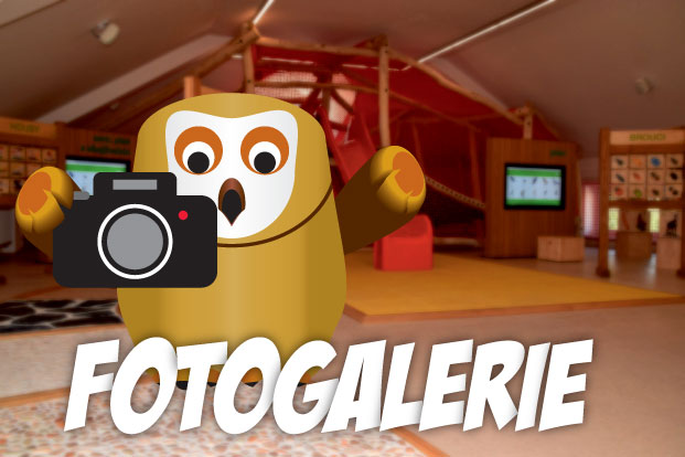 Fotogalerie